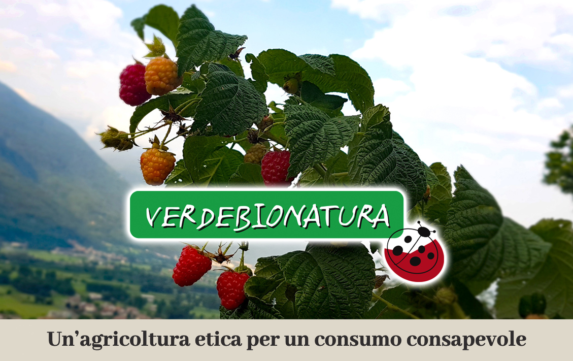 Verdebionatura non solo piccoli frutti - Società agricola — foto 3